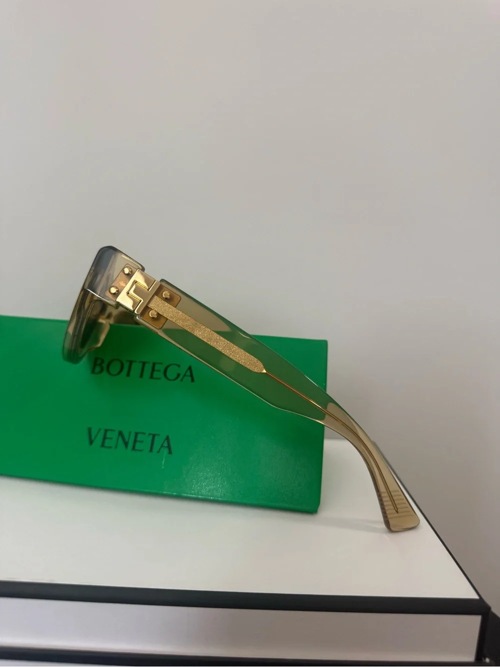 Bottega Veneta bold cat